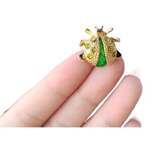 Ladybug Brooch Beetle pin Lady Bug Brooch Unique Pin Gift Montessori